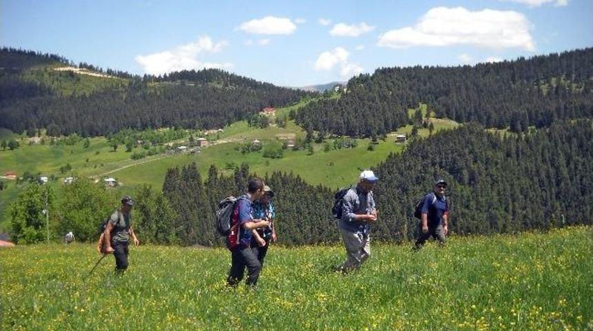 G&uuml;m&uuml;şhaneli Dağcılar Erikbeli Yaylasında