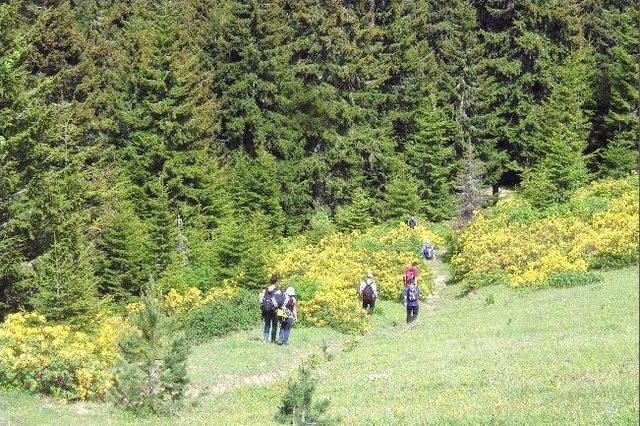 G&uuml;m&uuml;şhaneli Dağcılar Erikbeli Yaylasında 1