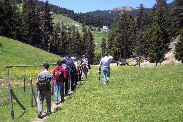 G&uuml;m&uuml;şhaneli Dağcılar Erikbeli Yaylasında 2