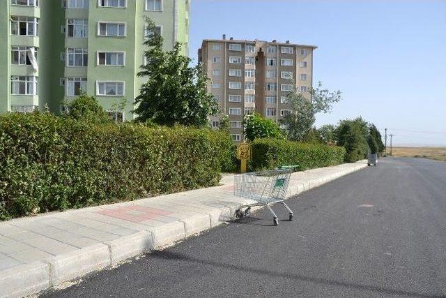 Uyarılara Uyan Yok 1