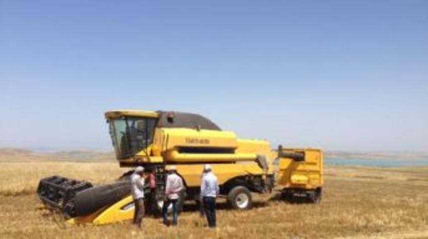 Samsat&rsquo;ta Hububat Hasat D&ouml;nemi Başladı