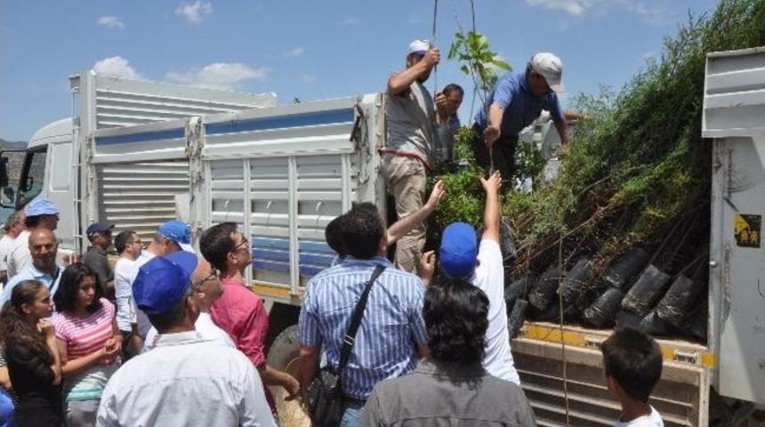 Manisa Halk Sağlığı M&uuml;d&uuml;rl&uuml;ğ&uuml; Personeli Fidan Dikti