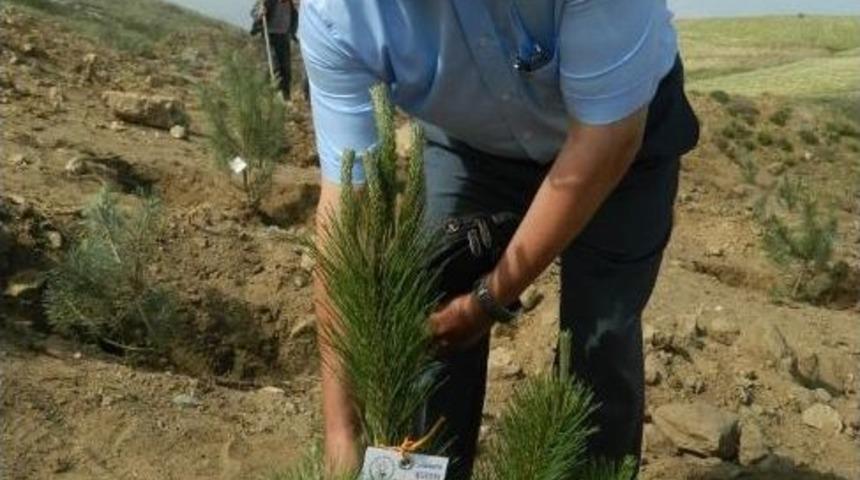 Anaokulu &Ouml;ğrencileri Fidan Dikti