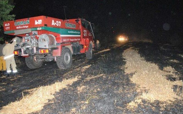 Aydın’da Anız Yangını Korkuttu