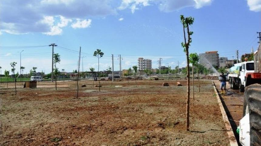 Yeşillendirme &Ccedil;alışmaları T&uuml;m Hızıyla S&uuml;r&uuml;yor