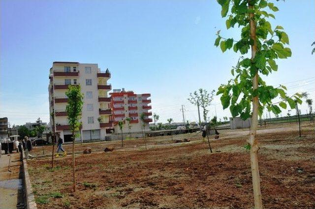 Yeşillendirme &Ccedil;alışmaları T&uuml;m Hızıyla S&uuml;r&uuml;yor 1