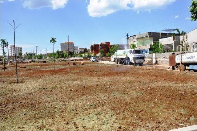 Yeşillendirme &Ccedil;alışmaları T&uuml;m Hızıyla S&uuml;r&uuml;yor 2