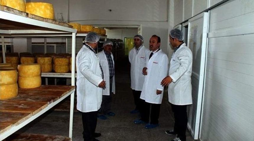 Kars Gıda, Tarım Ve Hayvancılık M&uuml;d&uuml;r&uuml;nden S&uuml;t Ve S&uuml;t &Uuml;retim İşletmelerine Ziyaret