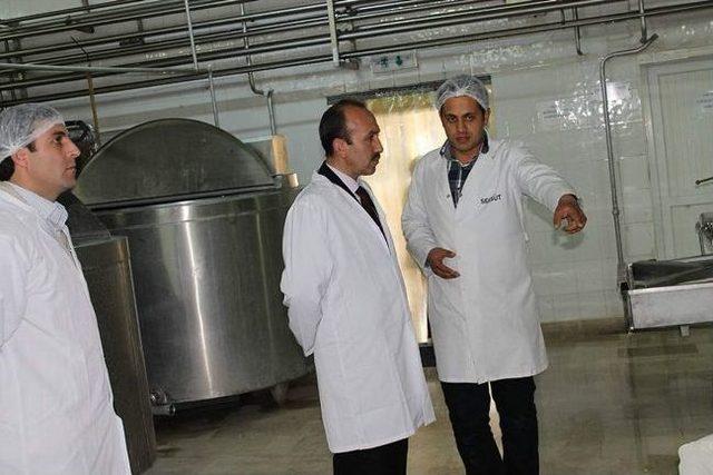 Kars Gıda, Tarım Ve Hayvancılık M&uuml;d&uuml;r&uuml;nden S&uuml;t Ve S&uuml;t &Uuml;retim İşletmelerine Ziyaret 1