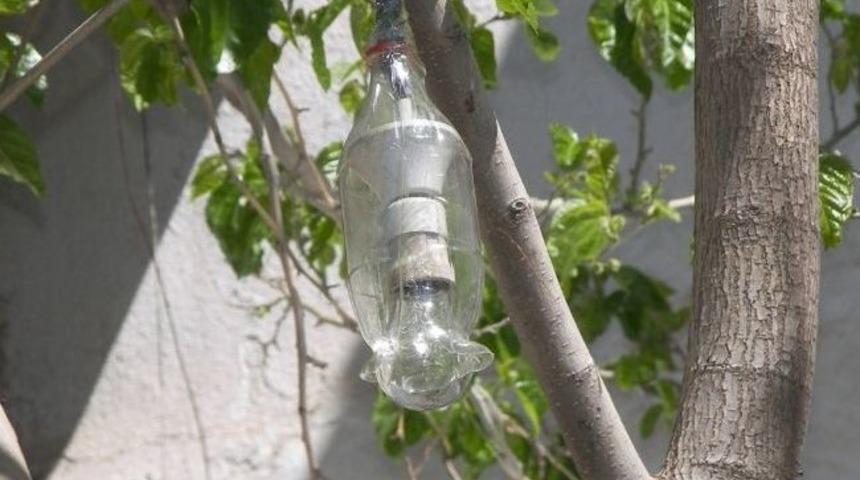 Islanan Amp&uuml;le Pet Kutulu Koruma