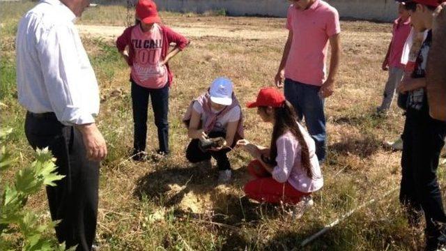 Dünya Çevre Gününde Öğrenciler Fidan Dikti