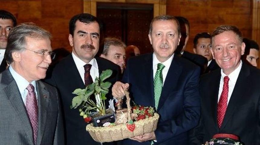 Başbakan Erdoğan, Nysa &Ccedil;ileğini Tattı