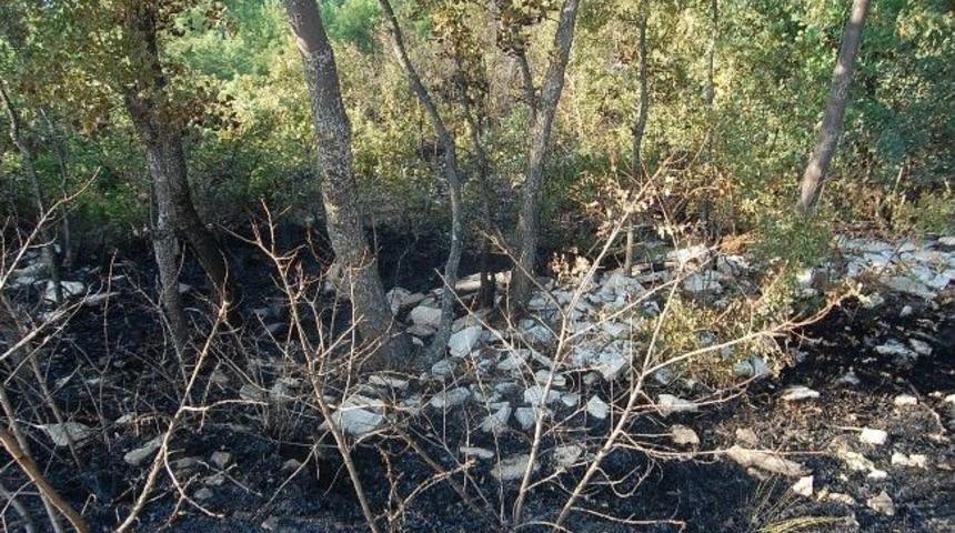 Harmancık'ta Ot Yangını