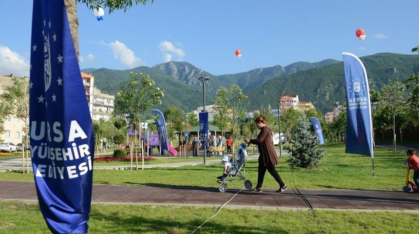 Duvarlar Yıkıldı, Mahalle Yeşile Kavuştu