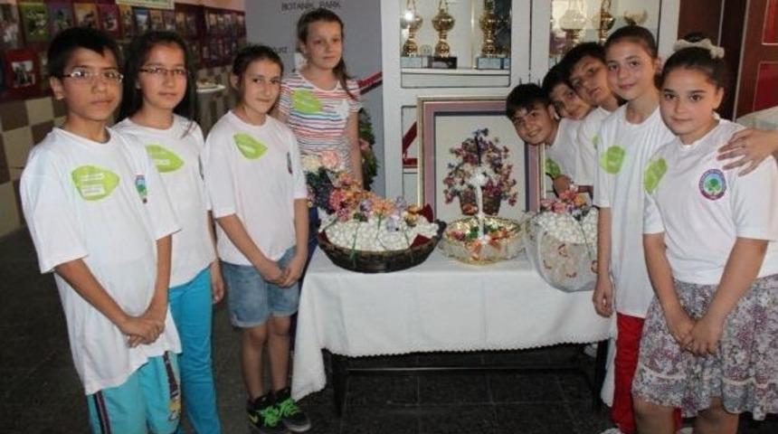 Bursalı &Ouml;ğrenciler Okulda İpek B&ouml;ceği Yetiştiriyor