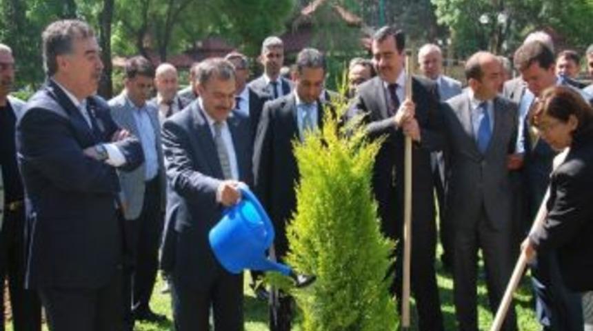 Vali Al; &ldquo;gelecek Nesillere Daha Yeşil Bir &Uuml;lke Bırakmak İ&ccedil;in &Ccedil;alışıyoruz&rdquo;