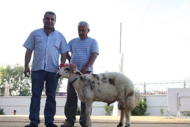 İmam-hatip Pilav G&uuml;n&uuml; Ko&ccedil;&rsquo;u 20 Bin Liraya Alındı 1