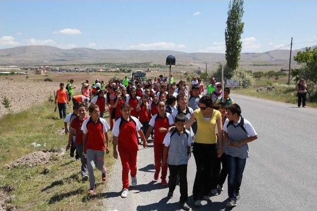 Kuruköprü'de Ağaçlandırma