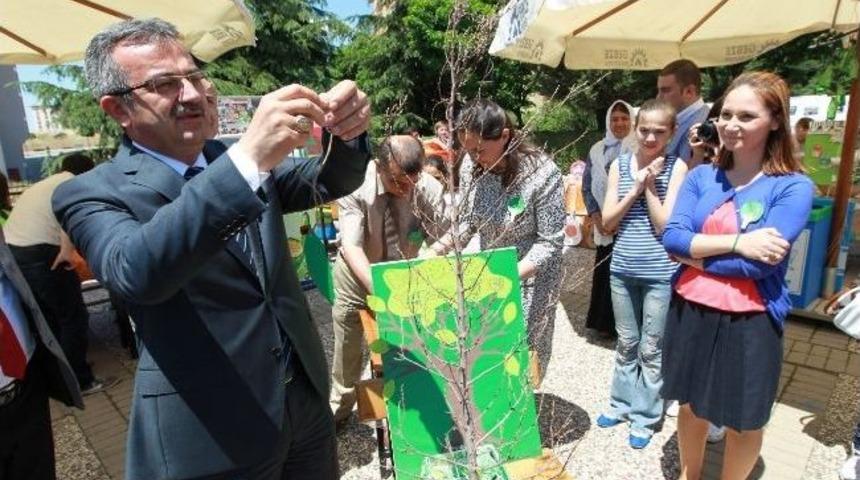 Gebze'de &Ccedil;evre Etkinlikleri