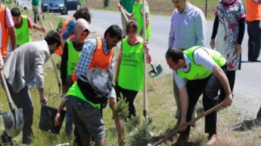 Talas Belediyesi Kuruk&ouml;pr&uuml;&rsquo;de 500 Fidan Dikti