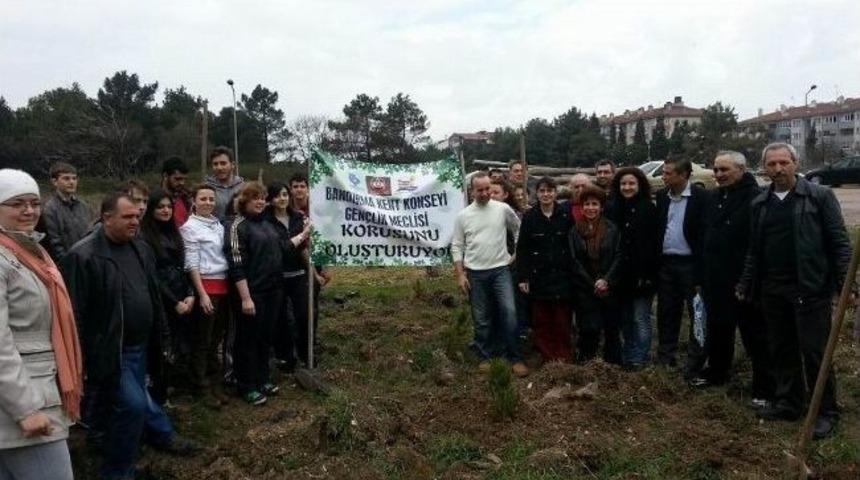 Bandırma Kent Konseyi Yaklaşık 10 Bin Fidanı Toprakla Buluşturdu