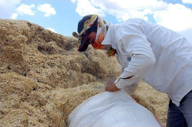 G&uuml;neşin Altında, Tozların İ&ccedil;inde Samancılık Yapıyorlar 1
