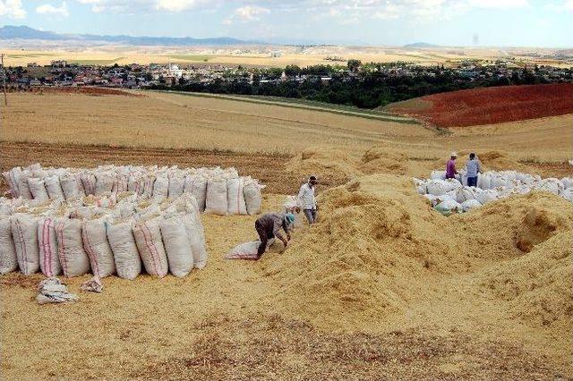 G&uuml;neşin Altında, Tozların İ&ccedil;inde Samancılık Yapıyorlar 2