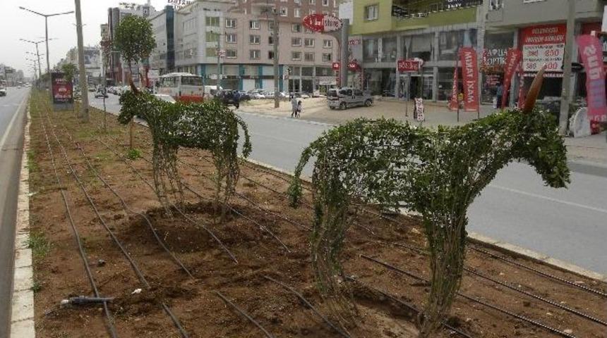 Mezitli&rsquo;de Ref&uuml;j Ve Kavşak &Ccedil;alışmaları