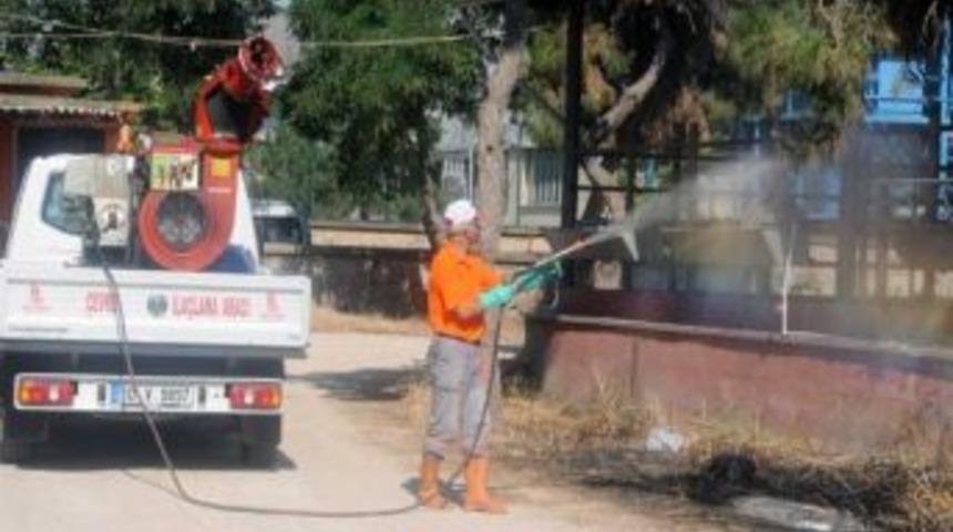 Balıkesir'de Sivrisinekle M&uuml;cadele Başladı
