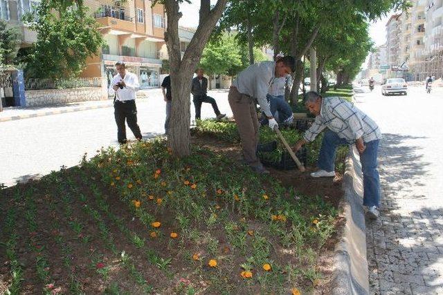 Kilis'in Rengi Değişiyor