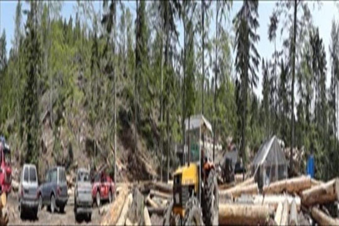 Silvik&uuml;lt&uuml;r Dairesi Başkanı Kastamonu&rsquo;ya Geldi