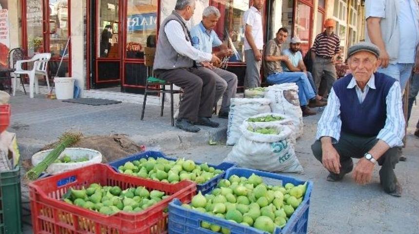 Bu Da Erkek Sinek Pazarı, Aydın&rsquo;da Sinek Pazarı Kuruldu