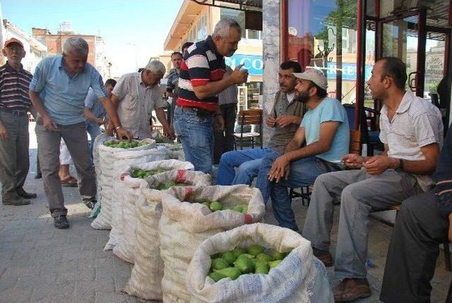 Bu Da Erkek Sinek Pazarı, Aydın’da Sinek Pazarı Kuruldu