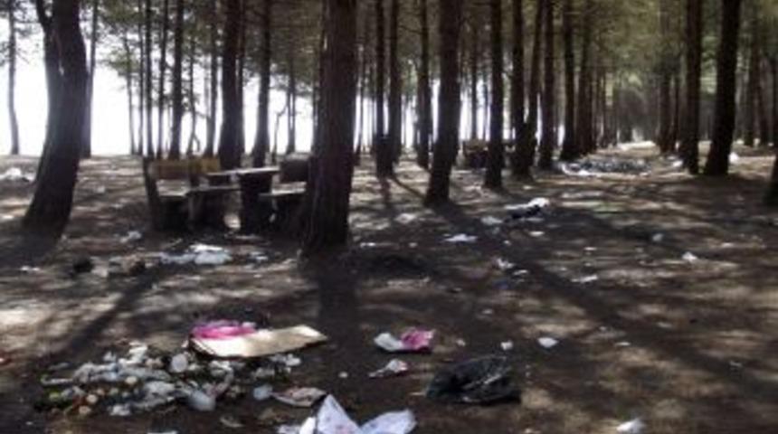 Terme&rsquo;nin Tek Piknik Alanı &Ccedil;&ouml;pl&uuml;k I&ccedil;inde