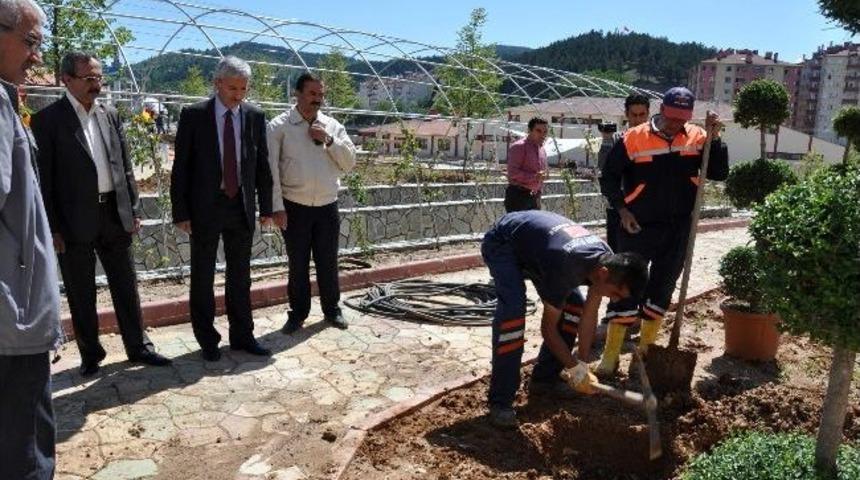 İstiklal Yolu Parkı&rsquo;nda Ağa&ccedil;landırma &Ccedil;alışması Başladı
