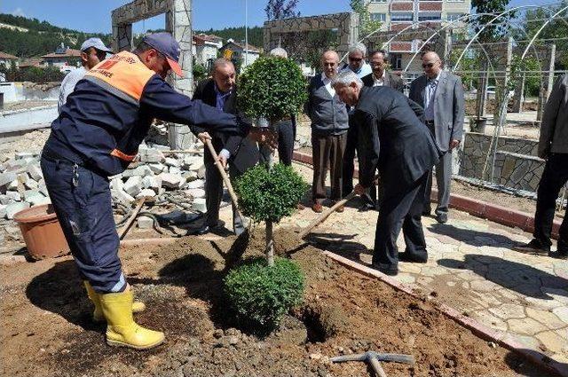 İstiklal Yolu Parkı&rsquo;nda Ağa&ccedil;landırma &Ccedil;alışması Başladı 1