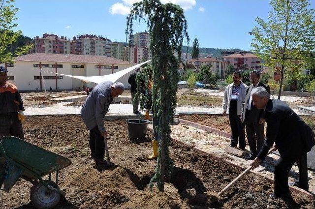 İstiklal Yolu Parkı&rsquo;nda Ağa&ccedil;landırma &Ccedil;alışması Başladı 2