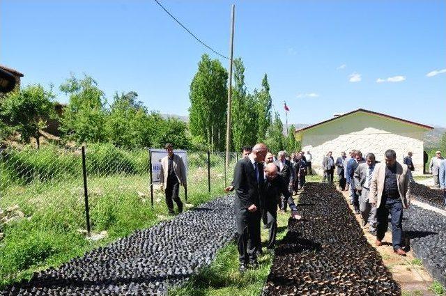 Hizan da "fıstık Fidanı Yetiştirme Tesisi" A&ccedil;ıldı 1