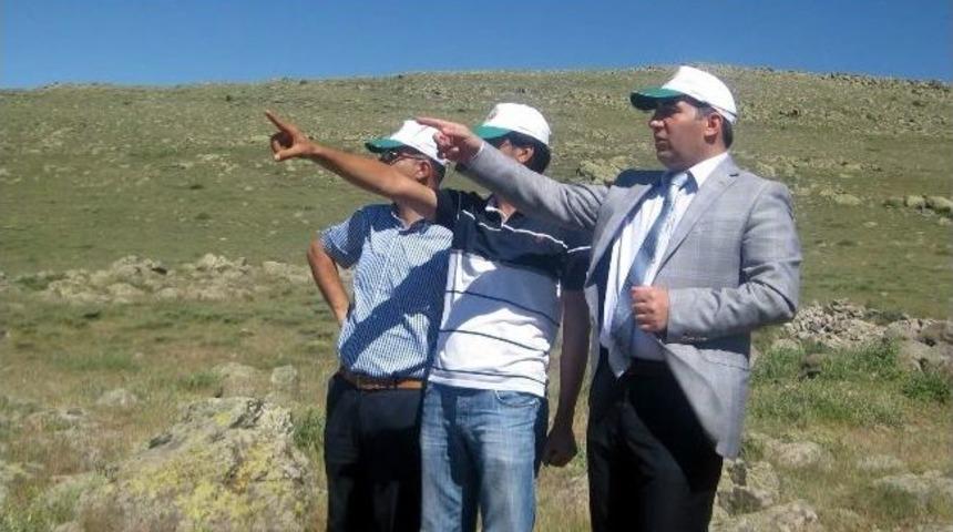 İncesu'da Ağa&ccedil;landırma &Ccedil;alışmaları Başladı