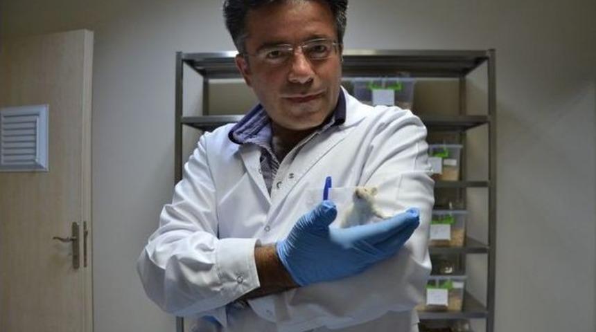 &Ccedil;om&uuml; Araştırma Merkezi Hız Kesmiyor