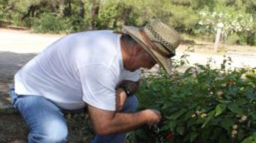 Hayvanların Su Ihtiyacını Karşılamak I&ccedil;in Bırakılan Leğenler Kayboldu