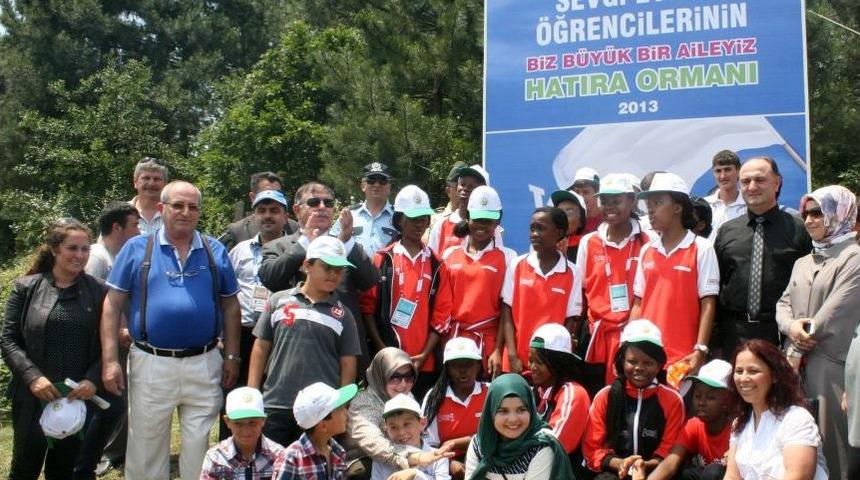 Olimpiyat &Ccedil;ocukları Ağa&ccedil; Dikti