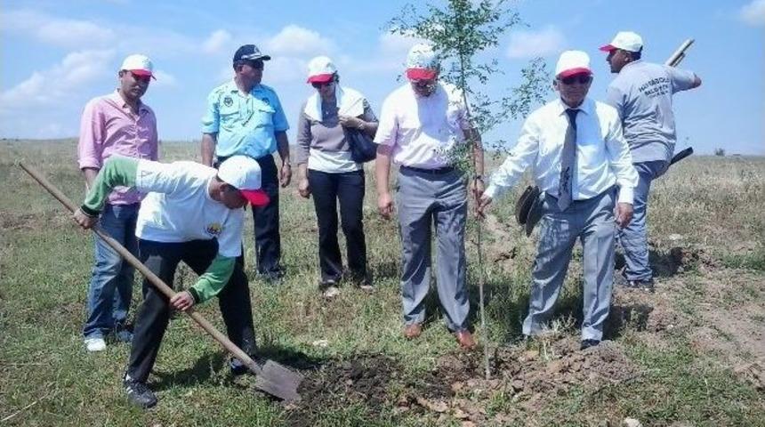 &Ouml;ğrenciler &Ccedil;evre Haftasında Fidan Dikti