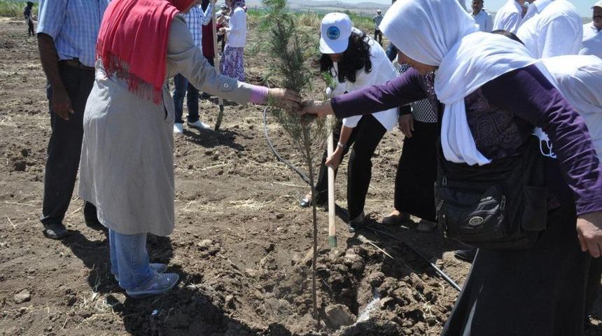 &Ouml;ğrenciler, Su Arıtma Tesisini Gezdi
