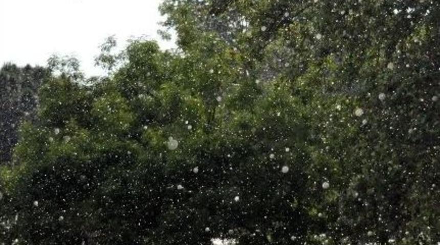 G&uuml;neşli Havada Sağanak Yağmur Şaşırttı