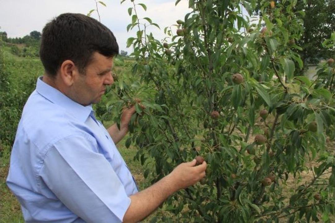 İneg&ouml;l'e Dolu Yağdı