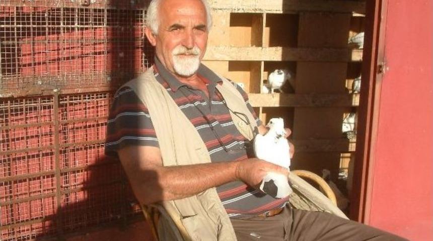 Burhaniye&rsquo;de Emlak&ccedil;ının G&uuml;vercin Tutkusu