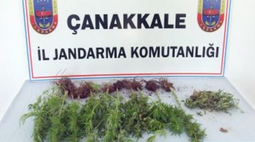 Biga'da Uyuşturucu Ele Ge&ccedil;irildi