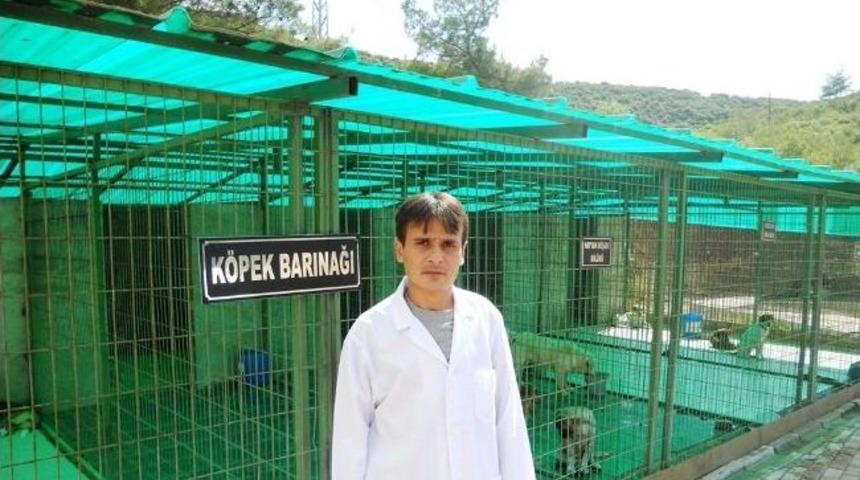 Bilecik Belediyesi Köpek Barınakları