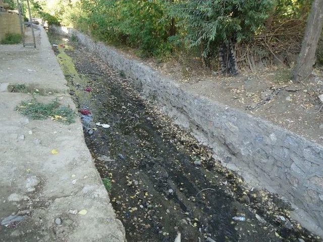 Belediye Dere Yataklarını Temizliyor 1